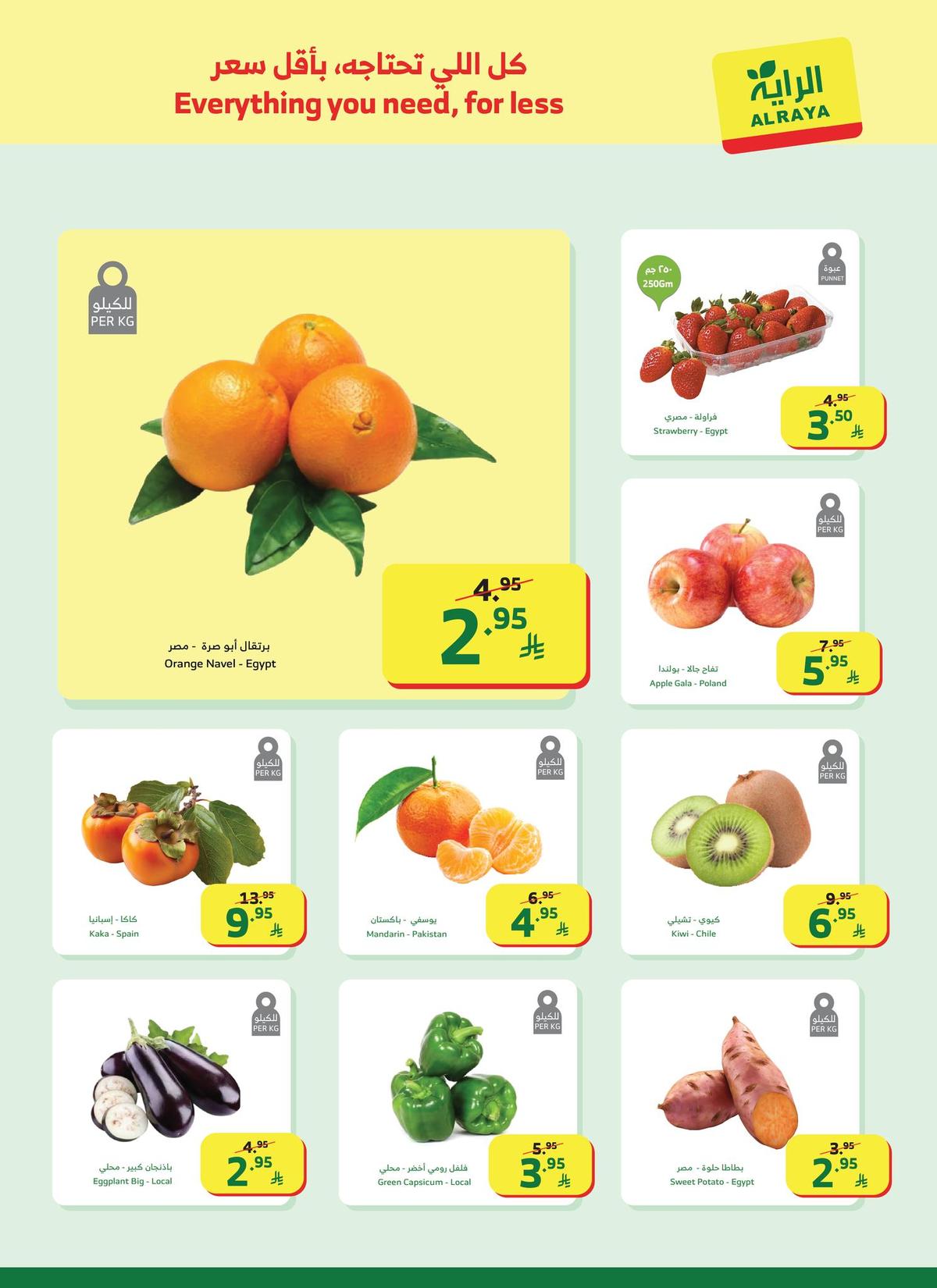 عروض الراية 7-13 يناير 2026 صفحة 15 - alraya offers 7-13 January 2026 page 15